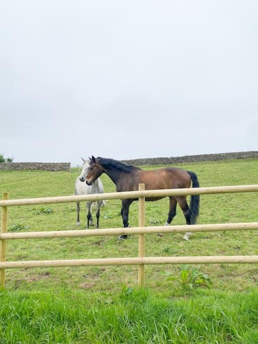 Luxury Detached Peak District Stone Barn - Dog Friendly Villa Hazelwood Екстериор снимка