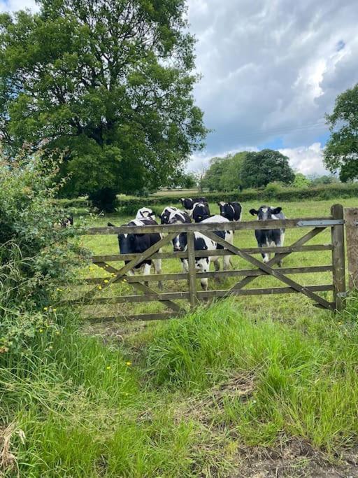 Luxury Detached Peak District Stone Barn - Dog Friendly Villa Hazelwood Екстериор снимка